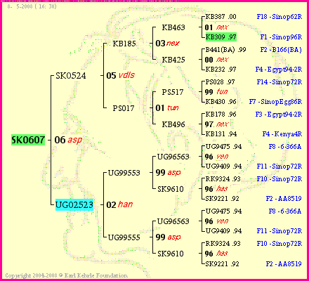 Pedigree of SK0607 :
four generations presented