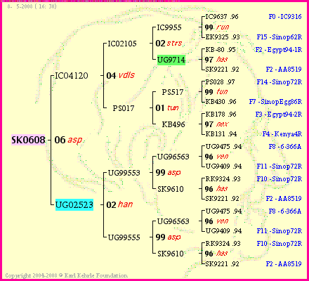 Pedigree of SK0608 :
four generations presented