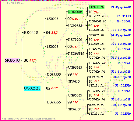 Pedigree of SK0610 :
four generations presented