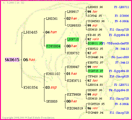 Pedigree of SK0615 :
four generations presented