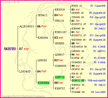 Pedigree of SK0703 :
four generations presented