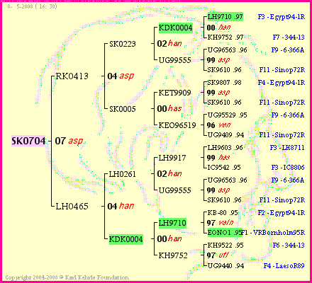 Pedigree of SK0704 :
four generations presented