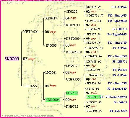 Pedigree of SK0709 :
four generations presented