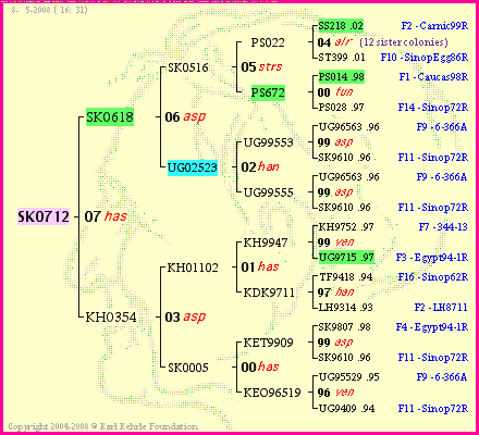 Pedigree of SK0712 :
four generations presented