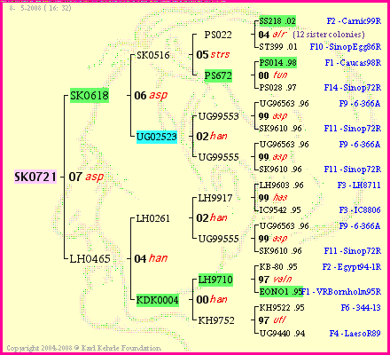 Pedigree of SK0721 :
four generations presented