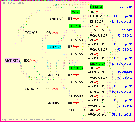 Pedigree of SK0805 :
four generations presented