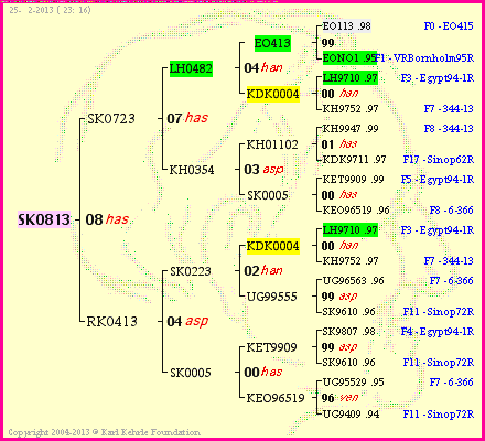 Pedigree of SK0813 :
four generations presented