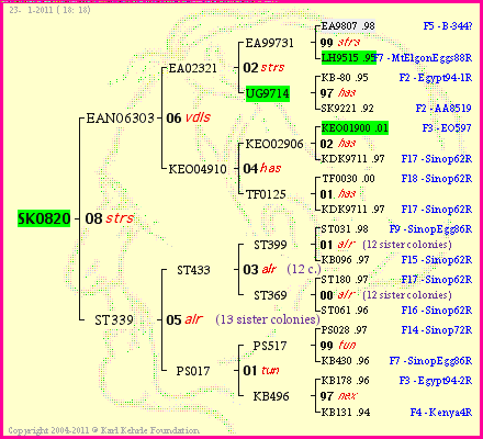 Pedigree of SK0820 :
four generations presented