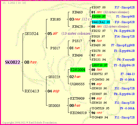 Pedigree of SK0822 :
four generations presented