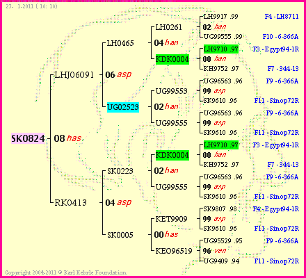 Pedigree of SK0824 :
four generations presented