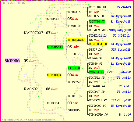 Pedigree of SK0906 :
four generations presented