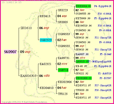 Pedigree of SK0907 :
four generations presented