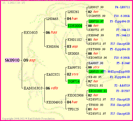 Pedigree of SK0910 :
four generations presented