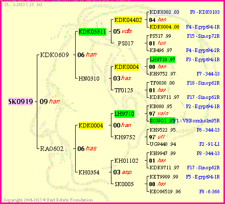 Pedigree of SK0919 :
four generations presented