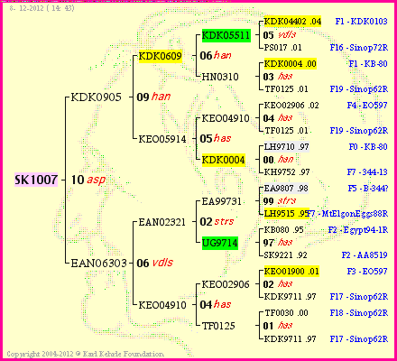 Pedigree of SK1007 :
four generations presented