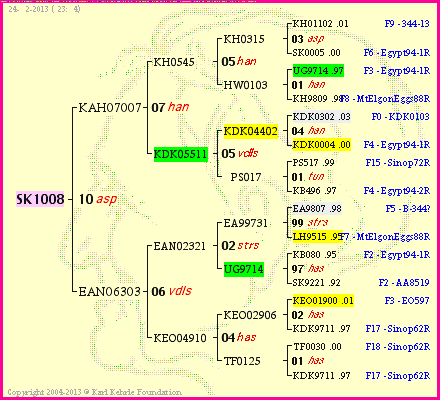 Pedigree of SK1008 :
four generations presented