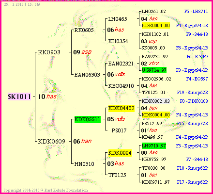 Pedigree of SK1011 :
four generations presented