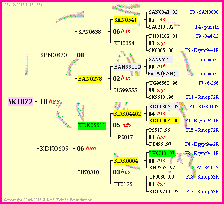 Pedigree of SK1022 :
four generations presented