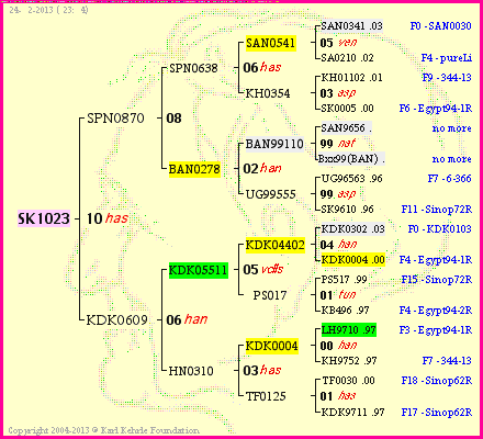 Pedigree of SK1023 :
four generations presented