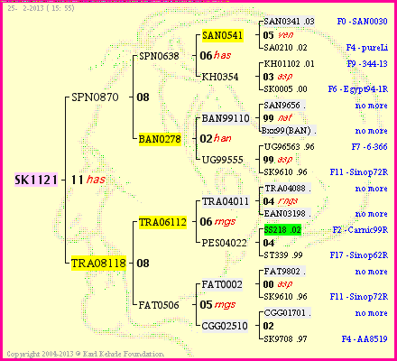 Pedigree of SK1121 :
four generations presented