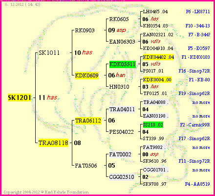 Pedigree of SK1201 :
four generations presented