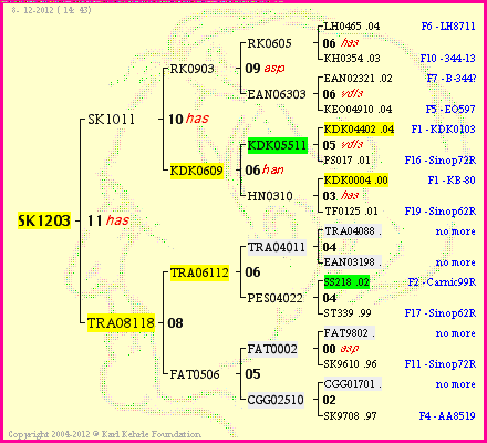 Pedigree of SK1203 :
four generations presented