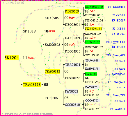 Pedigree of SK1204 :
four generations presented