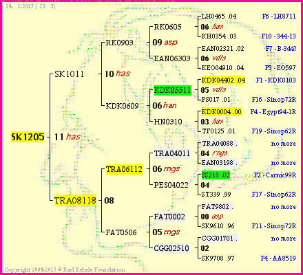 Pedigree of SK1205 :
four generations presented