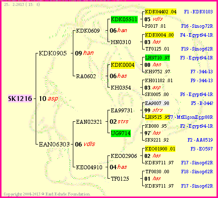 Pedigree of SK1216 :
four generations presented