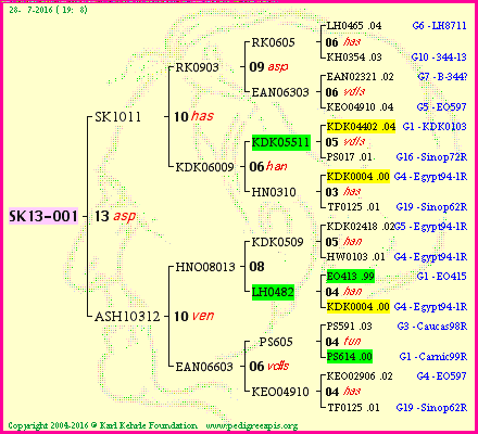 Pedigree of SK13-001 :
four generations presented