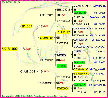 Pedigree of SK13-002 :
four generations presented