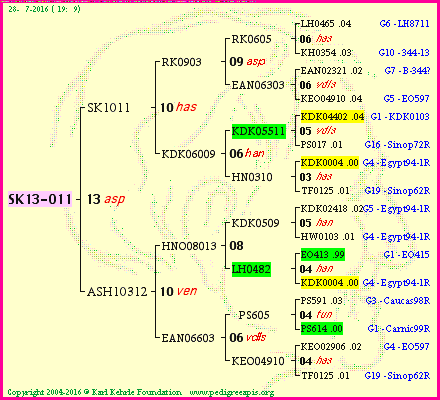 Pedigree of SK13-011 :
four generations presented