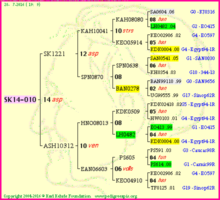 Pedigree of SK14-010 :
four generations presented