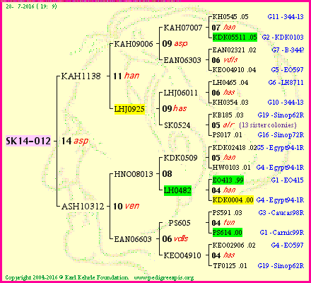 Pedigree of SK14-012 :
four generations presented