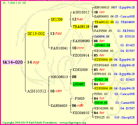 Pedigree of SK14-020 :
four generations presented