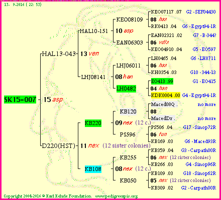 Pedigree of SK15-007 :
four generations presented