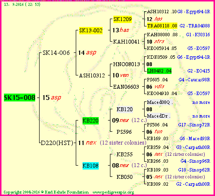 Pedigree of SK15-008 :
four generations presented