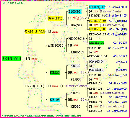 Pedigree of SK15-011 :
four generations presented