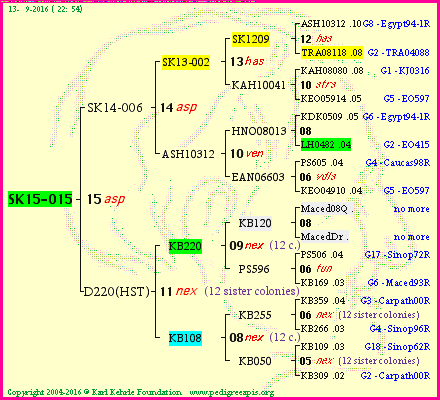 Pedigree of SK15-015 :
four generations presented