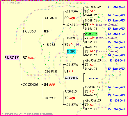 Pedigree of SK8717 :
four generations presented