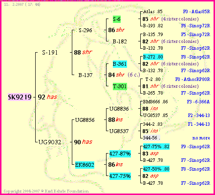 Pedigree of SK9219 :
four generations presented