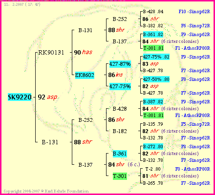 Pedigree of SK9220 :
four generations presented