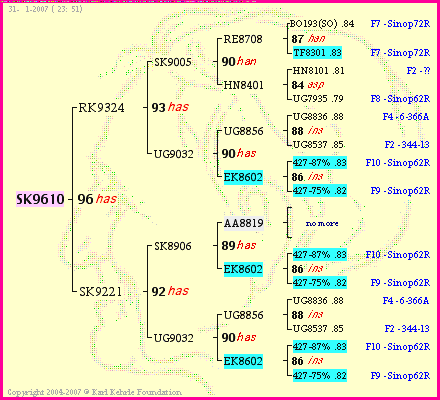 Pedigree of SK9610 :
four generations presented