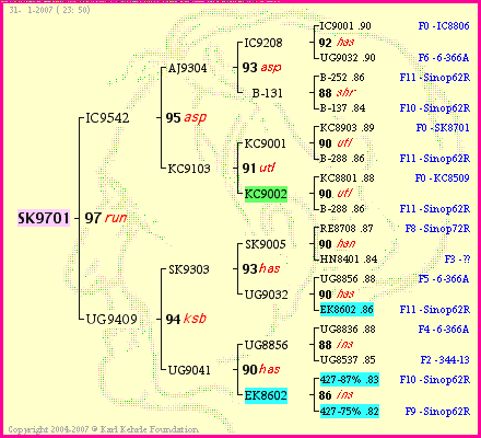 Pedigree of SK9701 :
four generations presented