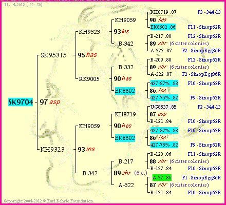 Pedigree of SK9704 :
four generations presented