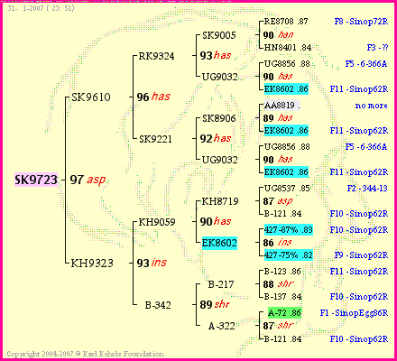 Pedigree of SK9723 :
four generations presented