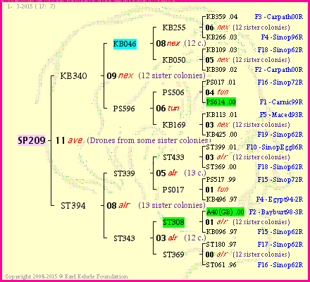 Pedigree of SP209 :
four generations presented