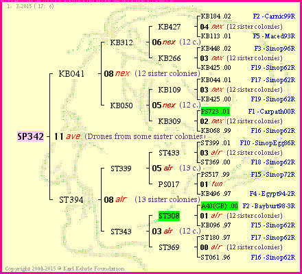 Pedigree of SP342 :
four generations presented