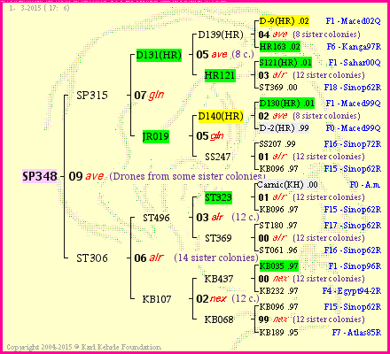 Pedigree of SP348 :
four generations presented