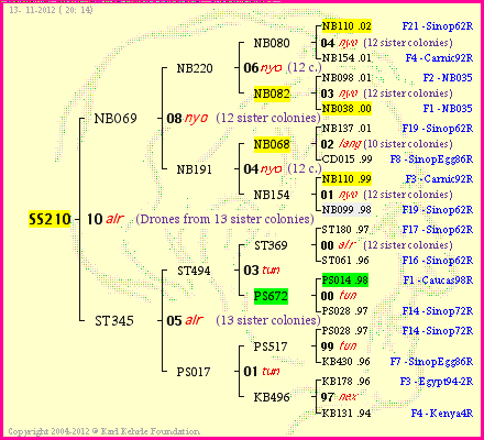 Pedigree of SS210 :
four generations presented<br />it's temporarily unavailable, sorry!